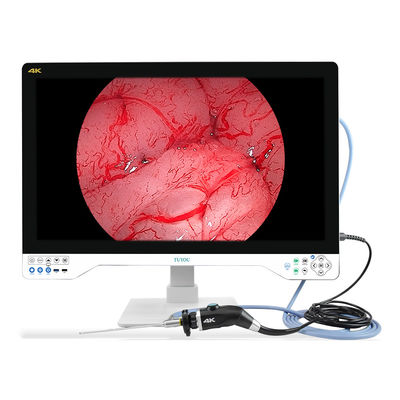 kaufen Portable Laparoskopie 4K Endoskopkamera mit U-Disk-Aufzeichnung und LED-Lichtquelle on-line-Fertigung