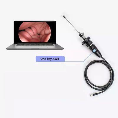 kaufen Elektrische Full HD CMOS Medizinische tragbare USB-Endoskopkamera für HNO Nasenotoskop Ohr Laparoskopische Gynäkologie on-line-Fertigung