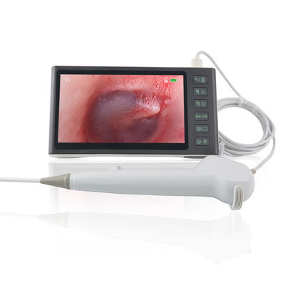 kaufen HNO-Chirurgie Weiß FHD Flexibler digitaler visueller Ohrpicker Ohrenschmalzentferner Einwegendoskop Kamera 7 Zoll IPS-Bildschirm on-line-Fertigung