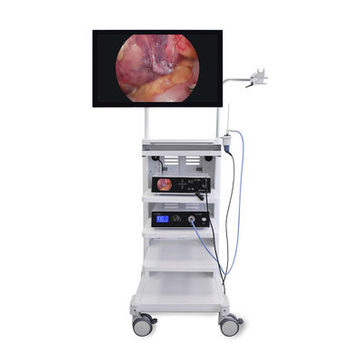 kaufen High Definition 4K Medizinische Endoskopie Videokamera für Laparoskopie Turm Urologie AWB unterstützt on-line-Fertigung