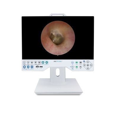 kaufen Fabrikdesign 15 Zoll FHD-Kamerasystem mit rekordkompatiblem flexiblem und starrem Endoskop on-line-Fertigung
