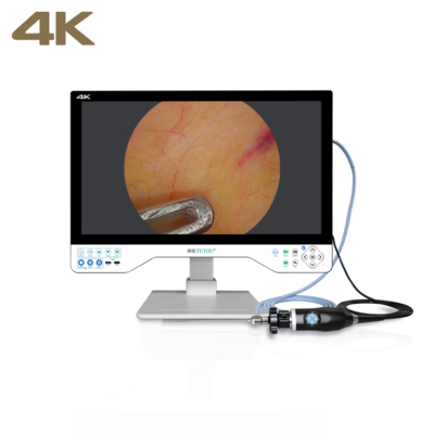 kaufen TUYOU All-in-One FHD-Endoskopie-Kamerasystem mit 24