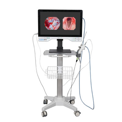FHD-All-in-One-Endoskop-Kamerasystem mit integriertem LED-Licht und flexiblem Bereich für die Laparoskopie