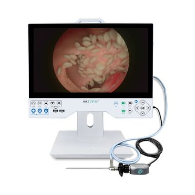 15 Zoll FHD Flexibles und starres Endoskop-Kamerasystem mit Aufzeichnung kompatibel für die Chirurgie
