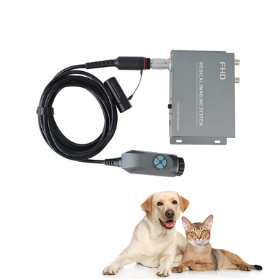 Tuyou 4-Port 1080P Endoskop-Konverter Box Portable medizinische Bildgebung ENT Haustier Laparoskopie