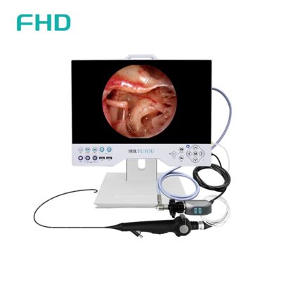 15' All-in-One Full-HD-Endoskopie-Kamerasystem mit integrierter LED-Lichtquelle für HNO- und urologische chirurgische Anwendungen
