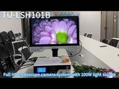 Fernseher-LSH101B