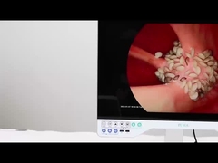 TUYOU UHD Endoskop Medizinische Endoskopkamera für Neurochirurgische Instrumente